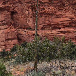 Meet your Posher, Jaret